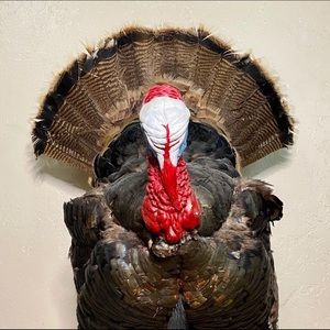 Meet your Posher, Allen